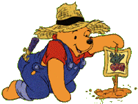 winnie