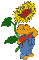 winnie