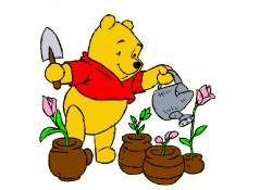 winnie