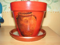 pot yucca