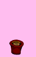 gif s.valentin